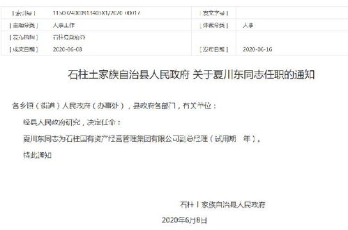 夏川東任石柱國有資產經營管理集團副總經理